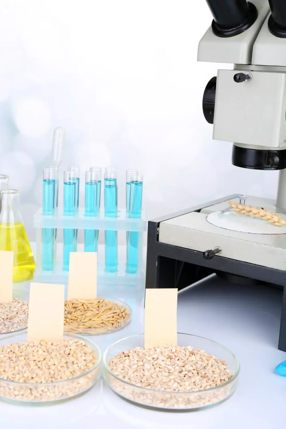 Badania mikrobiologiczne jakości żwyności